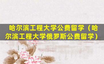 哈尔滨工程大学公费留学（哈尔滨工程大学俄罗斯公费留学）