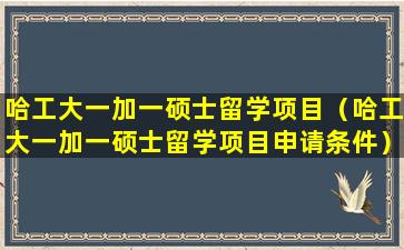 哈工大一加一硕士留学项目（哈工大一加一硕士留学项目申请条件）