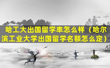 哈工大出国留学率怎么样（哈尔滨工业大学出国留学名额怎么定）