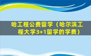 哈工程公费留学（哈尔滨工程大学3+1留学的学费）