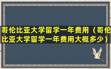 哥伦比亚大学留学一年费用（哥伦比亚大学留学一年费用大概多少）