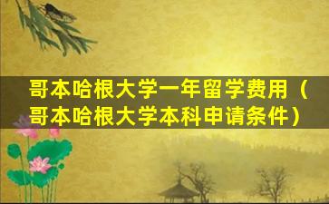 哥本哈根大学一年留学费用（哥本哈根大学本科申请条件）