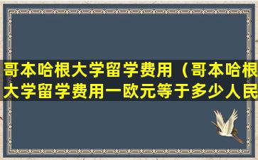 哥本哈根大学留学费用（哥本哈根大学留学费用一欧元等于多少人民币）