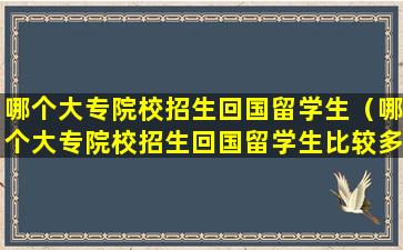 哪个大专院校招生回国留学生（哪个大专院校招生回国留学生比较多）