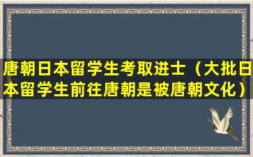 唐朝日本留学生考取进士（大批日本留学生前往唐朝是被唐朝文化）