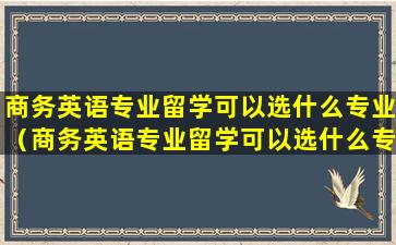 商务英语专业留学可以选什么专业（商务英语专业留学可以选什么专业好）