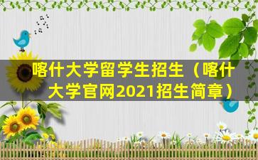 喀什大学留学生招生（喀什大学官网2021招生简章）