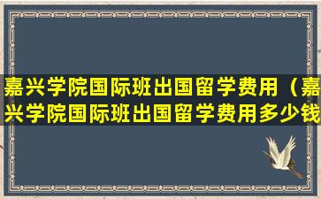 嘉兴学院国际班出国留学费用（嘉兴学院国际班出国留学费用多少钱）