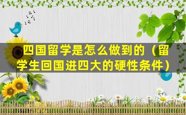 四国留学是怎么做到的（留学生回国进四大的硬性条件）