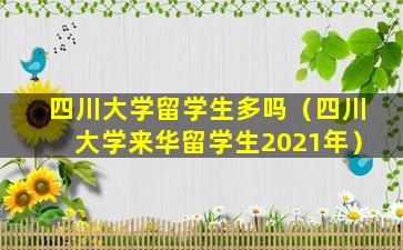 四川大学留学生多吗（四川大学来华留学生2021年）