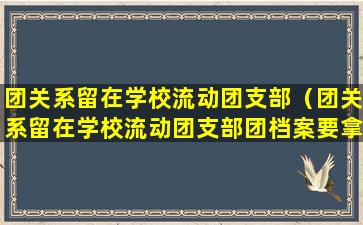 团关系留在学校流动团支部（团关系留在学校流动团支部团档案要拿走吗）