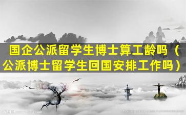 国企公派留学生博士算工龄吗（公派博士留学生回国安排工作吗）