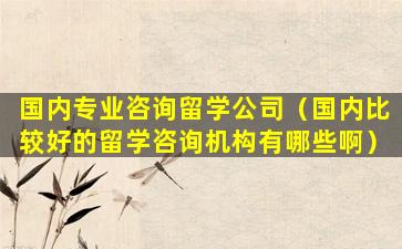 国内专业咨询留学公司（国内比较好的留学咨询机构有哪些啊）