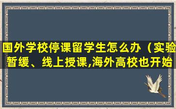 国外学校停课留学生怎么办（实验暂缓、线上授课,海外高校也开始“停课不停学”）