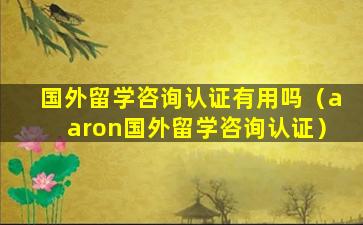 国外留学咨询认证有用吗（aaron国外留学咨询认证）