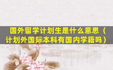 国外留学计划生是什么意思（计划外国际本科有国内学籍吗）