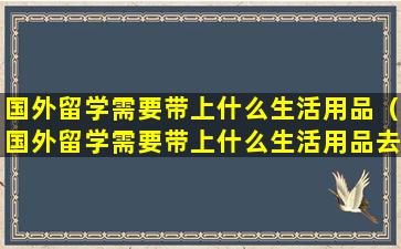 国外留学需要带上什么生活用品（国外留学需要带上什么生活用品去）