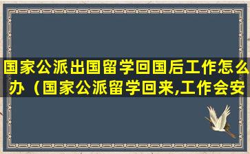 国家公派出国留学回国后工作怎么办（国家公派留学回来,工作会安排吗）