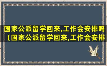 国家公派留学回来,工作会安排吗（国家公派留学回来,工作会安排吗现在）