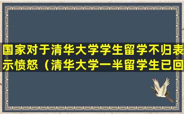 国家对于清华大学学生留学不归表示愤怒（清华大学一半留学生已回国,评论区翻车了）