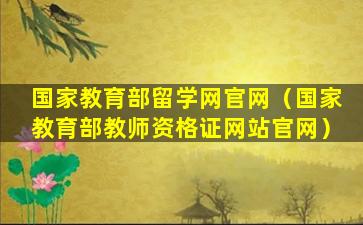 国家教育部留学网官网（国家教育部教师资格证网站官网）