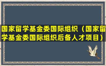 国家留学基金委国际组织（国家留学基金委国际组织后备人才项目）