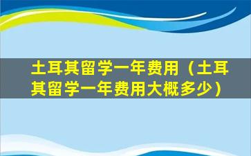 土耳其留学一年费用（土耳其留学一年费用大概多少）