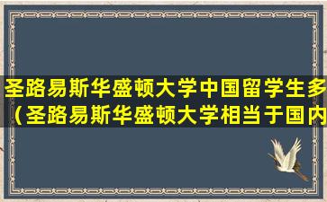 圣路易斯华盛顿大学中国留学生多（圣路易斯华盛顿大学相当于国内什么大学排名）