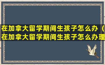 在加拿大留学期间生孩子怎么办（在加拿大留学期间生孩子怎么办理手续）