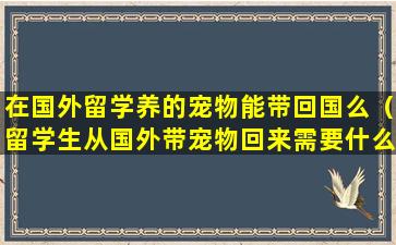 在国外留学养的宠物能带回国么（留学生从国外带宠物回来需要什么手续）