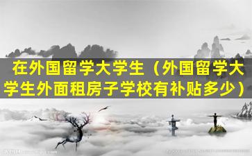 在外国留学大学生（外国留学大学生外面租房子学校有补贴多少）