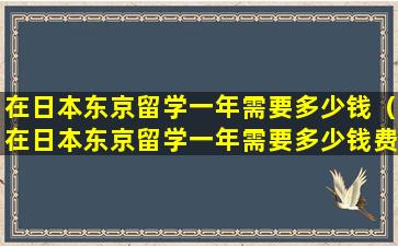 在日本东京留学一年需要多少钱（在日本东京留学一年需要多少钱费用）