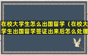 在校大学生怎么出国留学（在校大学生出国留学签证出来后怎么处理）