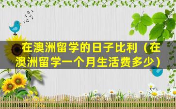 在澳洲留学的日子比利（在澳洲留学一个月生活费多少）