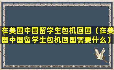 在美国中国留学生包机回国（在美国中国留学生包机回国需要什么）