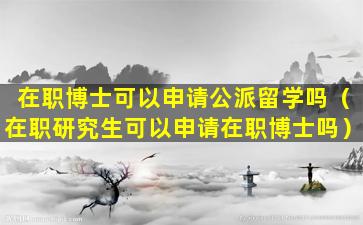 在职博士可以申请公派留学吗（在职研究生可以申请在职博士吗）