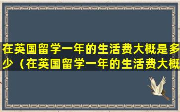 在英国留学一年的生活费大概是多少（在英国留学一年的生活费大概是多少呢）