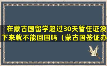 在蒙古国留学超过30天暂住证没下来就不能回国吗（蒙古国签证办理需要多久）