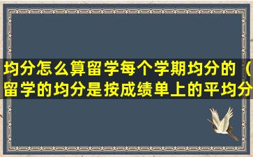 均分怎么算留学每个学期均分的（留学的均分是按成绩单上的平均分算吗）