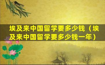 埃及来中国留学要多少钱（埃及来中国留学要多少钱一年）