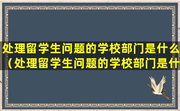 处理留学生问题的学校部门是什么（处理留学生问题的学校部门是什么单位）