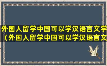 外国人留学中国可以学汉语言文学（外国人留学中国可以学汉语言文学专业吗）