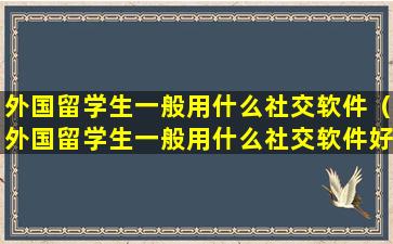 外国留学生一般用什么社交软件（外国留学生一般用什么社交软件好）