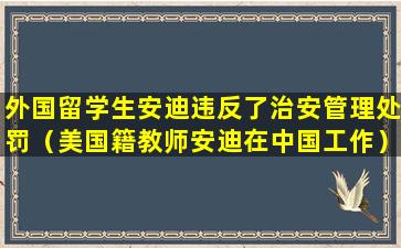 外国留学生安迪违反了治安管理处罚（美国籍教师安迪在中国工作）