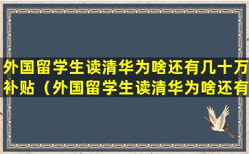 外国留学生读清华为啥还有几十万补贴（外国留学生读清华为啥还有几十万补贴呢）