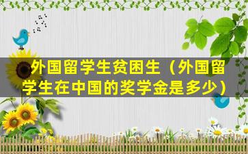 外国留学生贫困生（外国留学生在中国的奖学金是多少）