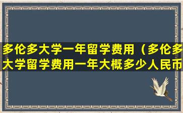 多伦多大学一年留学费用（多伦多大学留学费用一年大概多少人民币）