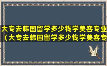 大专去韩国留学多少钱学美容专业（大专去韩国留学多少钱学美容专业的）