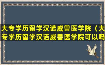 大专学历留学汉诺威兽医学院（大专学历留学汉诺威兽医学院可以吗）