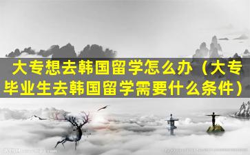 大专想去韩国留学怎么办（大专毕业生去韩国留学需要什么条件）